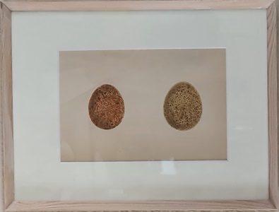 Kunst egg 2021