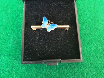 Sommerfugle broche blaa 2021
