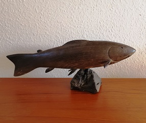 Diverse wenge fisk 2021